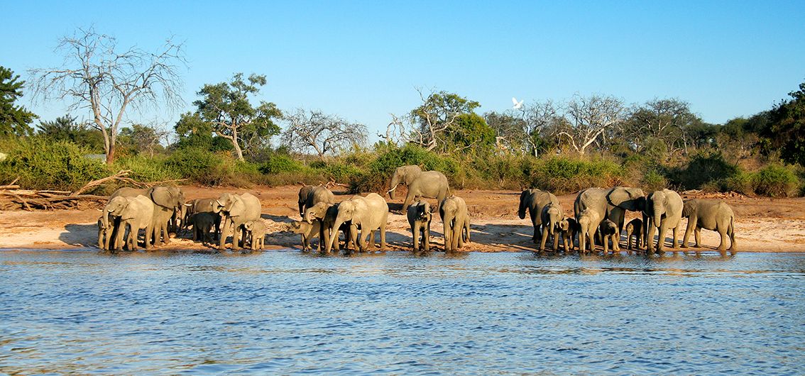 Vorreise für die Sonderzugreise African Explorer - Von den Viktoriafällen bis zum Indischen Ozean