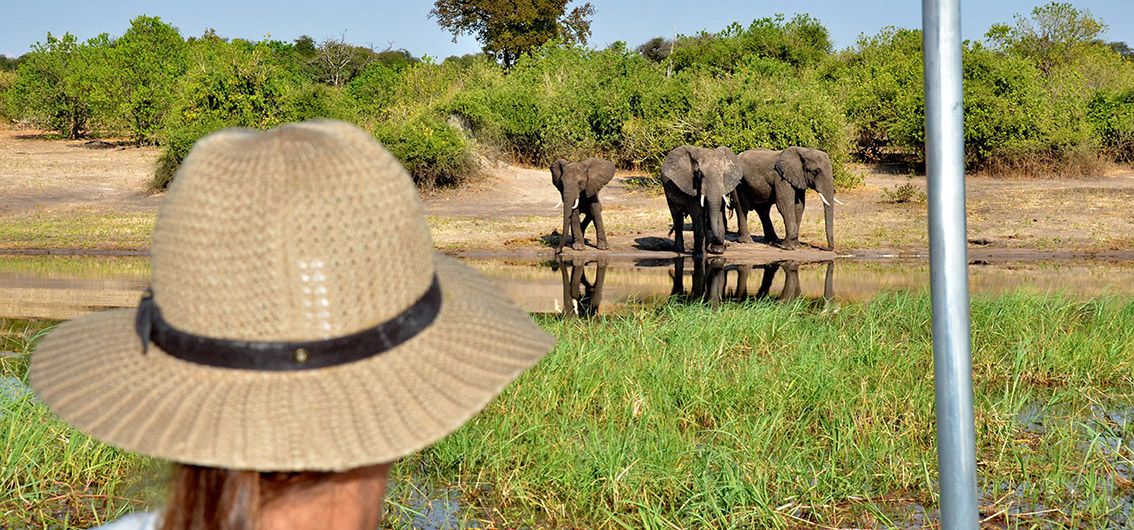 Vorreise zur Sambesi Flußkreuzfahrt - Viktoriafälle und Chobe-Nationalpark (2025/2026)