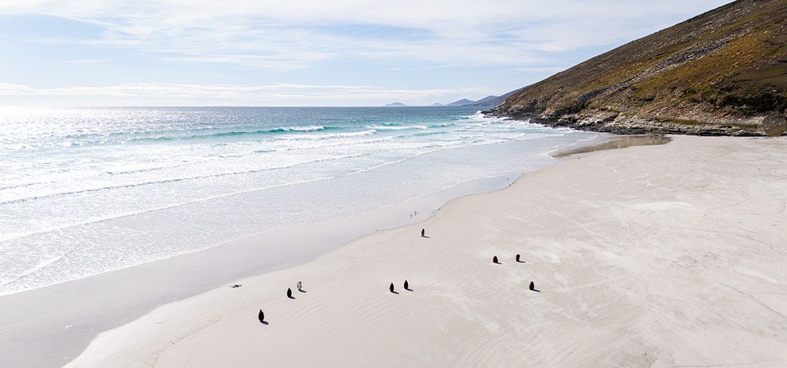 Saunders-Island