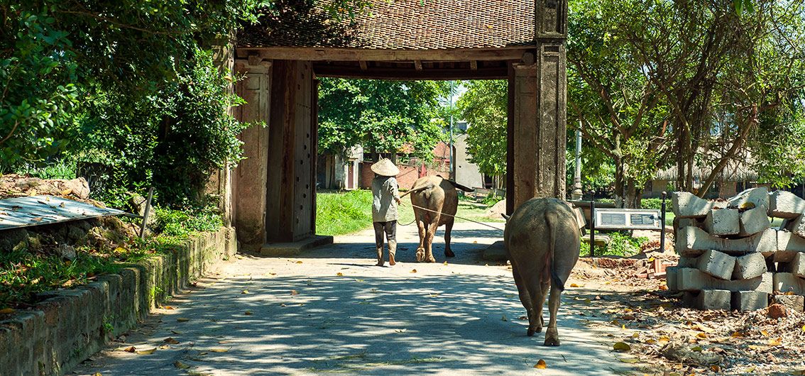 Vietnam-historischen-Dorf-Duong-Lam